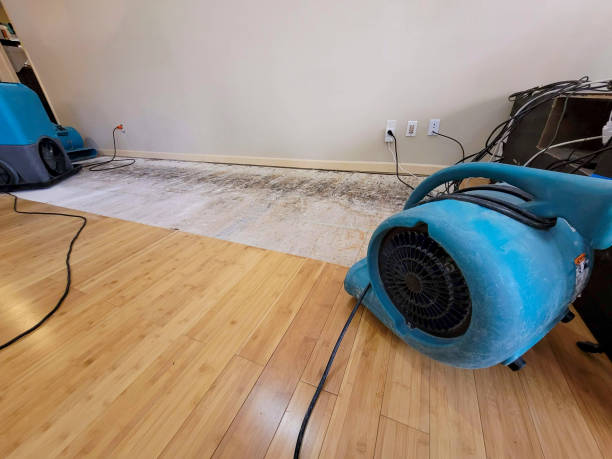 Professional Water Removal technician working in Lebanon, CT